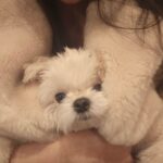 Son Ji-hyun