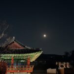 Song Ga-in