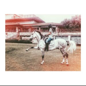 Sonia Couling Instagram - Exactly 2 weeks ago, I had to make the most, difficult, heartbreaking decision to let u go. My sweet Marengo. I miss u dearly. 💔😢 Thank u for the memories and the beautiful 11 years together. May u gallop, happy and free wherever your soul takes you and I pray that we will meet again there❤️Horses lend us the wings we lack. 

“I can make a General in five minutes, but a good horse is hard to replace” — Abraham Lincoln 

U are truly irreplaceable. #marengo #1sthorse #1stlove #heartbroken