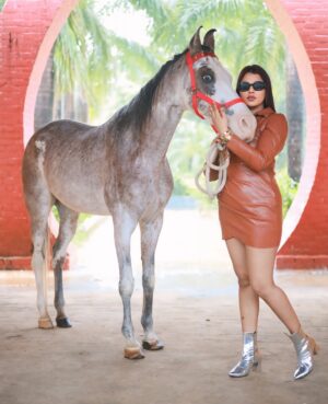Sumaiya Shaikh Instagram - She who owns her energy, owns her world|🦸🏻‍♀️

#sumaiyashaikhofficial #india #goa #fashionmodelindia #emcee #anchor #influencer #modellife #photoshoot #horseriding #horsesofinstagram #lifestyle #fashion #horselove #goa #life #alhumdullilah #yolo #ting

Pic credit:- @_______krsna_______ @ganesh_gawas416 
Location:- @dsstudgoa