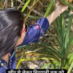 Sweta Singh