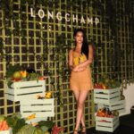 Tay Ying
