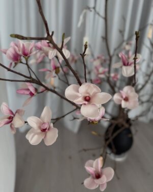 Thanh Hang Instagram - Rộn ràng những ngày Tết❤️ 
Năm nay mình trải nghiệm xuống Long Xuyên với món bánh xèo rau rừng và bánh khọt nước cốt dừa. Ngon lắm! Muốn thử thêm lẩu mắm mà quán chưa mở . Hẹn lần sau với nhiều món hay ho nè #thanhhang