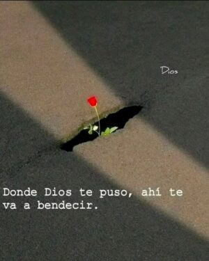 Tracy Cortez Instagram - Bendecida mi amor 🥀❤️✨🙏🏽