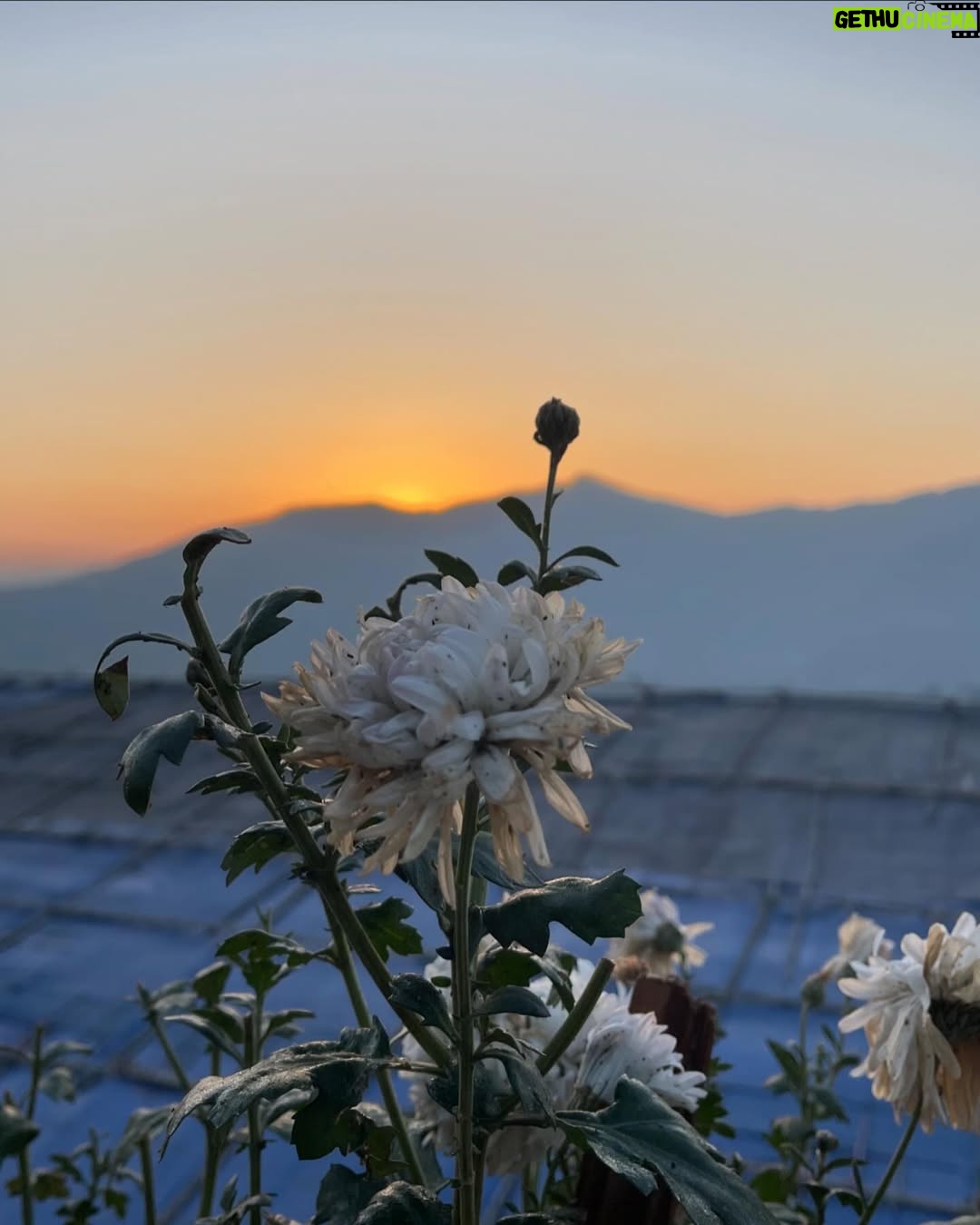 Triparna Dey - 3 Likes - Random photo dump ! 🏔️