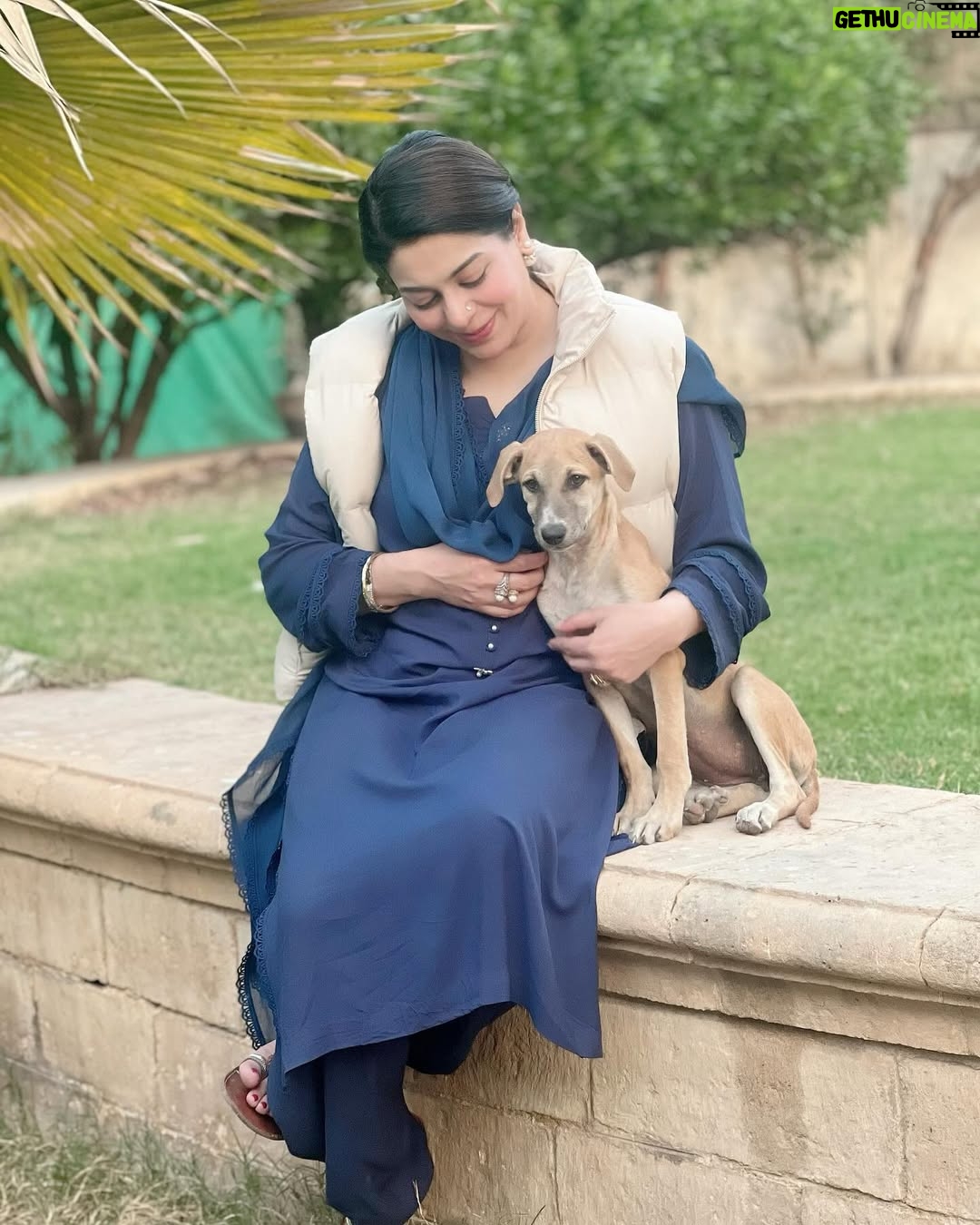 Uzma Hassan - 3.1K Likes - Perhaps, we can learn to be kinder to these creatures, who are the most trusting and pure ..and who are often at the receiving end of endless torture, abuse, hatred and violence..maybe, by doing so, we can learn to be more empathetic towards each other and inspire others to follow suit.. maybe, by trying to understand the suffering of those who have no voice, we can understand the pain of the world around us..
Maybe, by these small acts of kindness and acceptance, we can try to be better human beings.. maybe, together we can pave the way for a better society ..a kinder, more empathetic and humane world.
From the sets of a new drama, Dobby says ‘Hi!’. ♥️🐕♥️
I wish that Dobby, and all the others like him are safe, and witness nothing but love, kindness and us as the best versions of ourselves. 🤲🏼
#bts #kindness #love #empathy #dogsofinstagram #streetdogsofpakistan