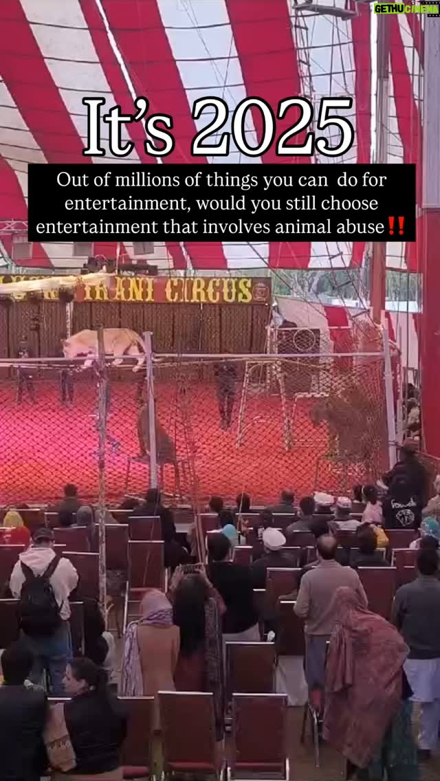 Uzma Hassan - 1.9K Likes - RAISE YOUR VOICE AGAINST ANIMAL ABUSE‼️
#stopanimalcruelty #animalabuse #circus #endanimalcruelty #animal #animals #animallover #animallovers #animalrights #wildlife