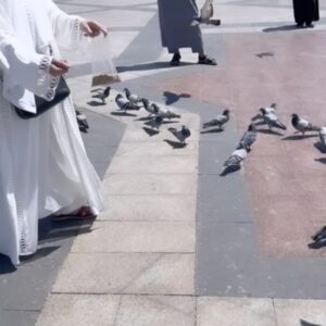 Uzma Hassan Instagram - Feeding the birds and basking in the glorious sun at Masjid e Quba. 🌞

This was the first Mosque that was founded by our Holy Prophet (PBUH) , when he migrated from Mecca to Madina. 

A special thank you to @rhkabayas , for this beautiful white Abaya. I loved wearing it. 🤍