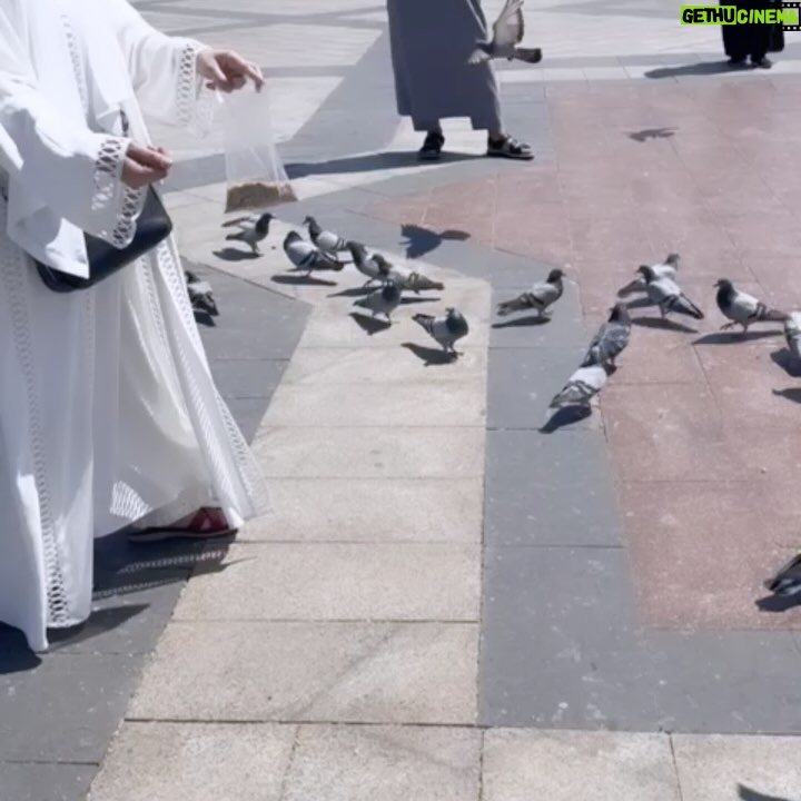 Uzma Hassan - 4.7K Likes - Feeding the birds and basking in the glorious sun at Masjid e Quba. 🌞
This was the first Mosque that was founded by our Holy Prophet (PBUH) , when he migrated from Mecca to Madina.
A special thank you to @rhkabayas , for this beautiful white Abaya. I loved wearing it. 🤍