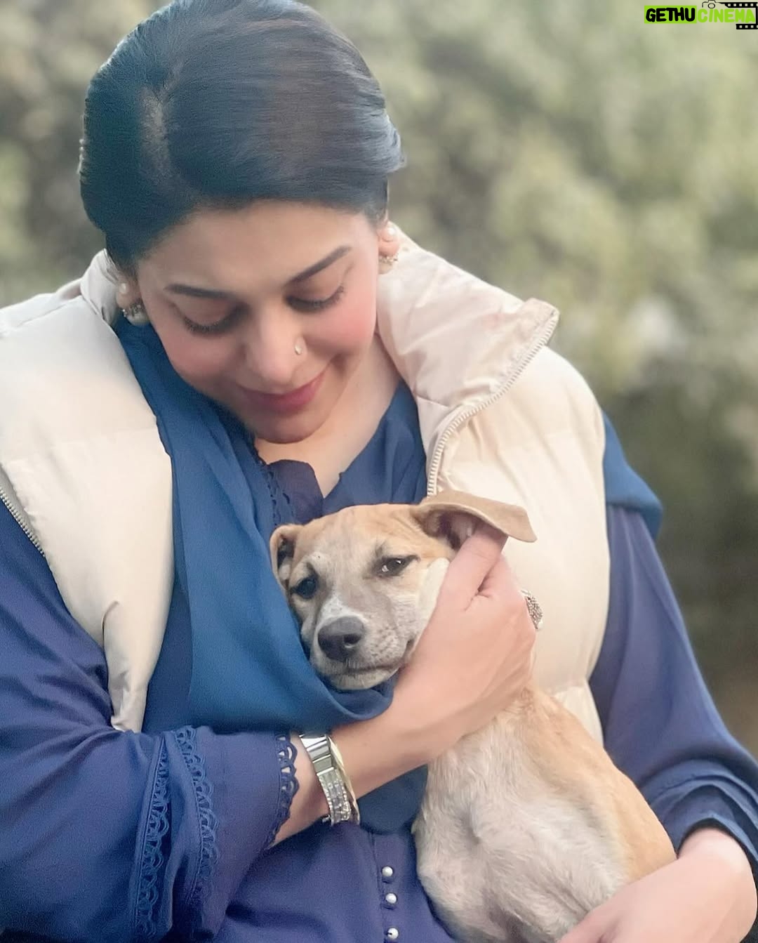 Uzma Hassan - 3.1K Likes - Perhaps, we can learn to be kinder to these creatures, who are the most trusting and pure ..and who are often at the receiving end of endless torture, abuse, hatred and violence..maybe, by doing so, we can learn to be more empathetic towards each other and inspire others to follow suit.. maybe, by trying to understand the suffering of those who have no voice, we can understand the pain of the world around us..
Maybe, by these small acts of kindness and acceptance, we can try to be better human beings.. maybe, together we can pave the way for a better society ..a kinder, more empathetic and humane world.
From the sets of a new drama, Dobby says ‘Hi!’. ♥️🐕♥️
I wish that Dobby, and all the others like him are safe, and witness nothing but love, kindness and us as the best versions of ourselves. 🤲🏼
#bts #kindness #love #empathy #dogsofinstagram #streetdogsofpakistan