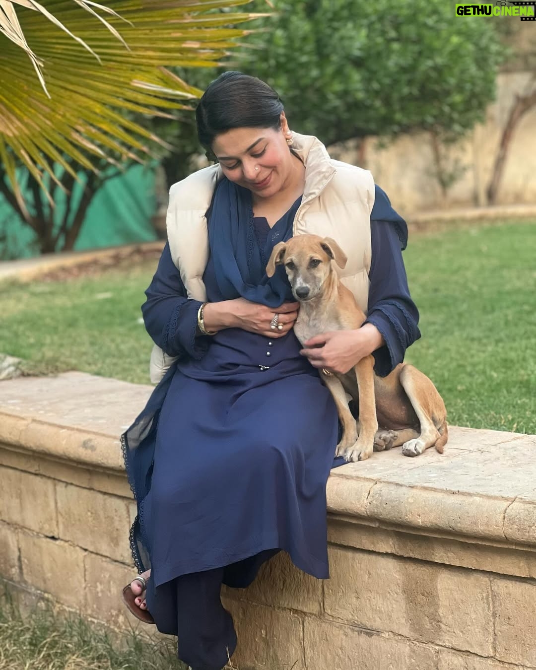 Uzma Hassan - 3.1K Likes - Perhaps, we can learn to be kinder to these creatures, who are the most trusting and pure ..and who are often at the receiving end of endless torture, abuse, hatred and violence..maybe, by doing so, we can learn to be more empathetic towards each other and inspire others to follow suit.. maybe, by trying to understand the suffering of those who have no voice, we can understand the pain of the world around us..
Maybe, by these small acts of kindness and acceptance, we can try to be better human beings.. maybe, together we can pave the way for a better society ..a kinder, more empathetic and humane world.
From the sets of a new drama, Dobby says ‘Hi!’. ♥️🐕♥️
I wish that Dobby, and all the others like him are safe, and witness nothing but love, kindness and us as the best versions of ourselves. 🤲🏼
#bts #kindness #love #empathy #dogsofinstagram #streetdogsofpakistan