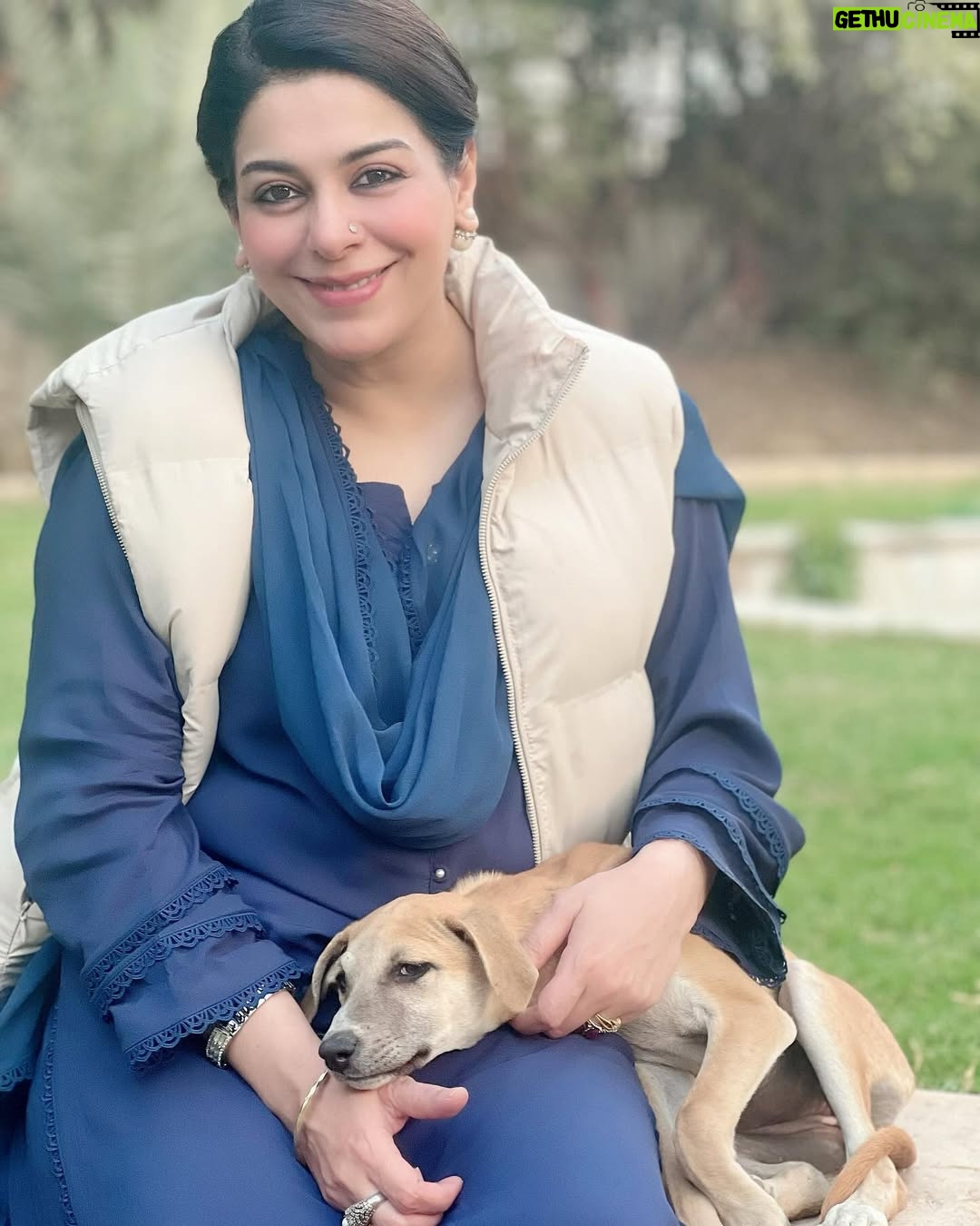 Uzma Hassan - 3.1K Likes - Perhaps, we can learn to be kinder to these creatures, who are the most trusting and pure ..and who are often at the receiving end of endless torture, abuse, hatred and violence..maybe, by doing so, we can learn to be more empathetic towards each other and inspire others to follow suit.. maybe, by trying to understand the suffering of those who have no voice, we can understand the pain of the world around us..
Maybe, by these small acts of kindness and acceptance, we can try to be better human beings.. maybe, together we can pave the way for a better society ..a kinder, more empathetic and humane world.
From the sets of a new drama, Dobby says ‘Hi!’. ♥️🐕♥️
I wish that Dobby, and all the others like him are safe, and witness nothing but love, kindness and us as the best versions of ourselves. 🤲🏼
#bts #kindness #love #empathy #dogsofinstagram #streetdogsofpakistan