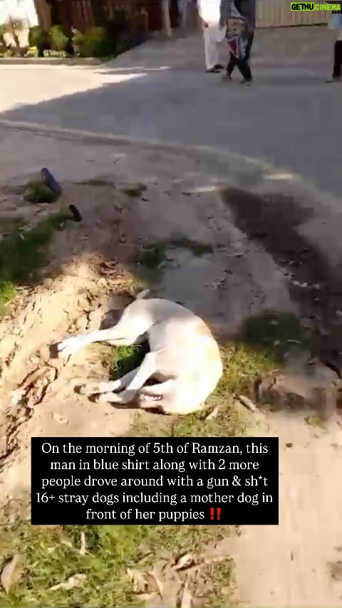 Uzma Hassan - 2.3K Likes - EXPOSE THESE DOG KILLERS‼️Please share this reel & tag influential people to help get these dogs justice.
#dog #dogs #dogsofinstagram #dogstagram #fyp #trend #trending #viral