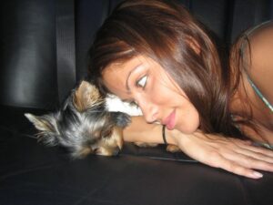 Valery M. Ortiz Instagram - I started this post this morning on the treadmill but got too emotional to finish. I miss this lil nugget so much. Happy heavenly 18th birthday mi Myli Myshell! It breaks my heart but simultaneously fills it with SO MUCH joy going through our memories together. Too hard to choose 20 favorites. 🥹 I hope you were running up a storm up there with all of your doggy family eating crackers and treats and sunbathing and getting snuggles de Abuela Panchi y Mama Meche que siempre te querían! I can’t wait to see you again my lil baby! 🤧🥹😭