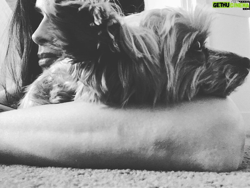 Valery M. Ortiz - 764 Likes - I started this post this morning on the treadmill but got too emotional to finish. I miss this lil nugget so much. Happy heavenly 18th birthday mi Myli Myshell! It breaks my heart but simultaneously fills it with SO MUCH joy going through our memories together. Too hard to choose 20 favorites. 🥹 I hope you were running up a storm up there with all of your doggy family eating crackers and treats and sunbathing and getting snuggles de Abuela Panchi y Mama Meche que siempre te querían! I can’t wait to see you again my lil baby! 🤧🥹😭