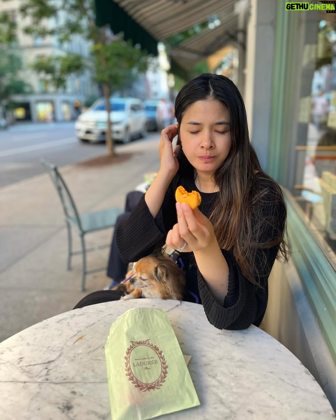Yam Concepcion - 34.7K Likes - The Evolution of a Macaron
Art direction by @mrcuu