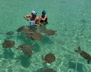Yam Concepcion Instagram - Stingrays, turtles, pigs and a bump 💙🌊☀️