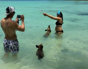Yam Concepcion Instagram - Stingrays, turtles, pigs and a bump 💙🌊☀️