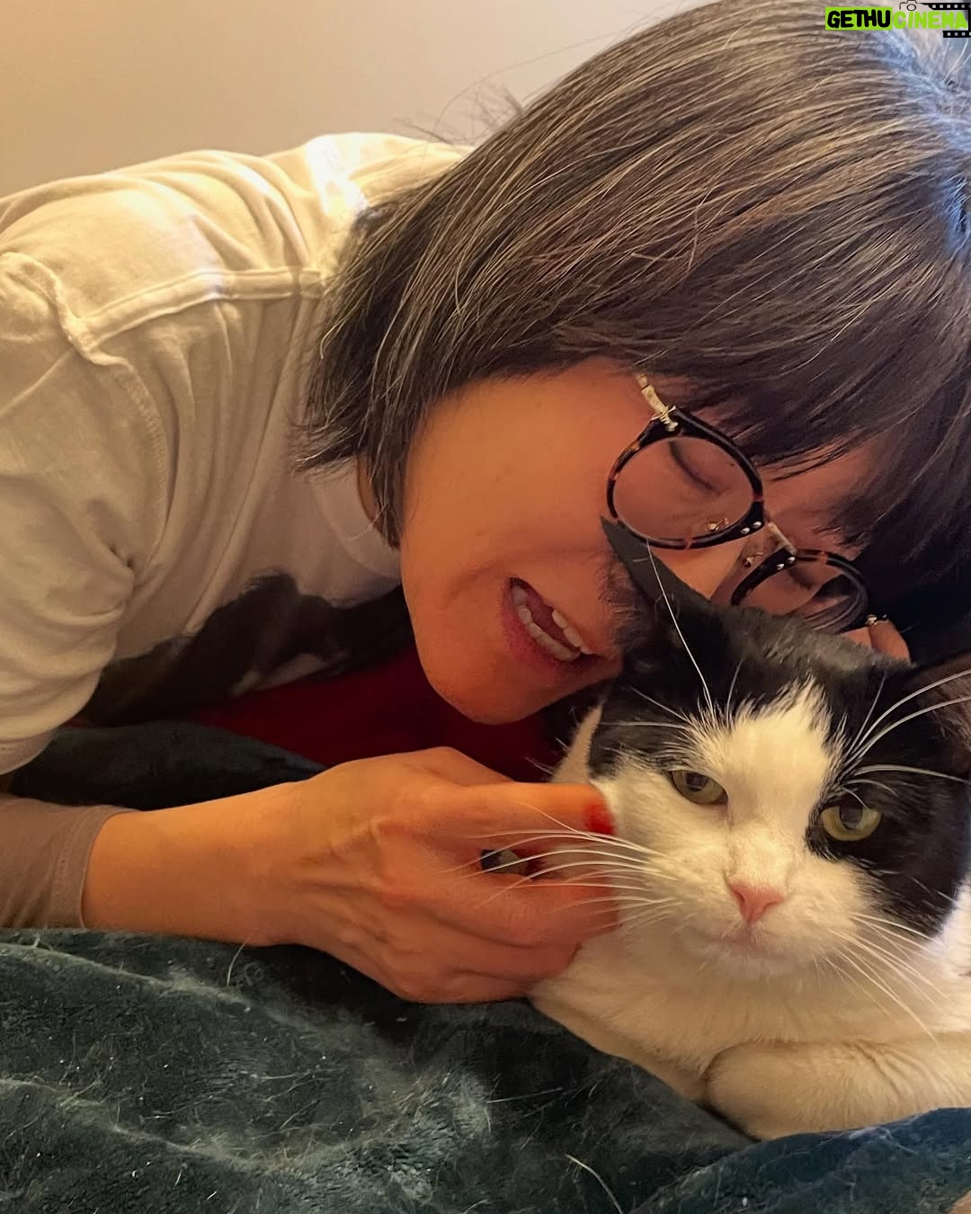 Yasuko Mitsuura - 44.9K Likes - まるちゃん。(友人猫)ご迷惑かもしれませんが、体温に癒されたい日があるんですの。も少しいいかしら。