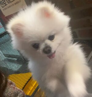 Yoo Ah-jin Instagram - 😎긴머리의나 ..
 머리가 엄청길때네용 😛
