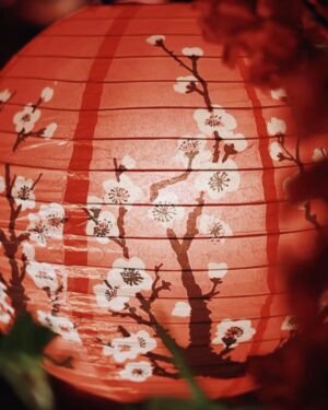 Yuni Shara Instagram - .
HSBC @hsbc_id  Chinese New Year🏮♥️✨💫

@donnykaryadi @deva_dadang 
@renee.couture @rinaldyyunardi 
@moedjenan @masnanda___ 
@widosound @wonty_yunishara 
@looks.sandisphotoproject 

#yunishara #hsbc #sincia2025