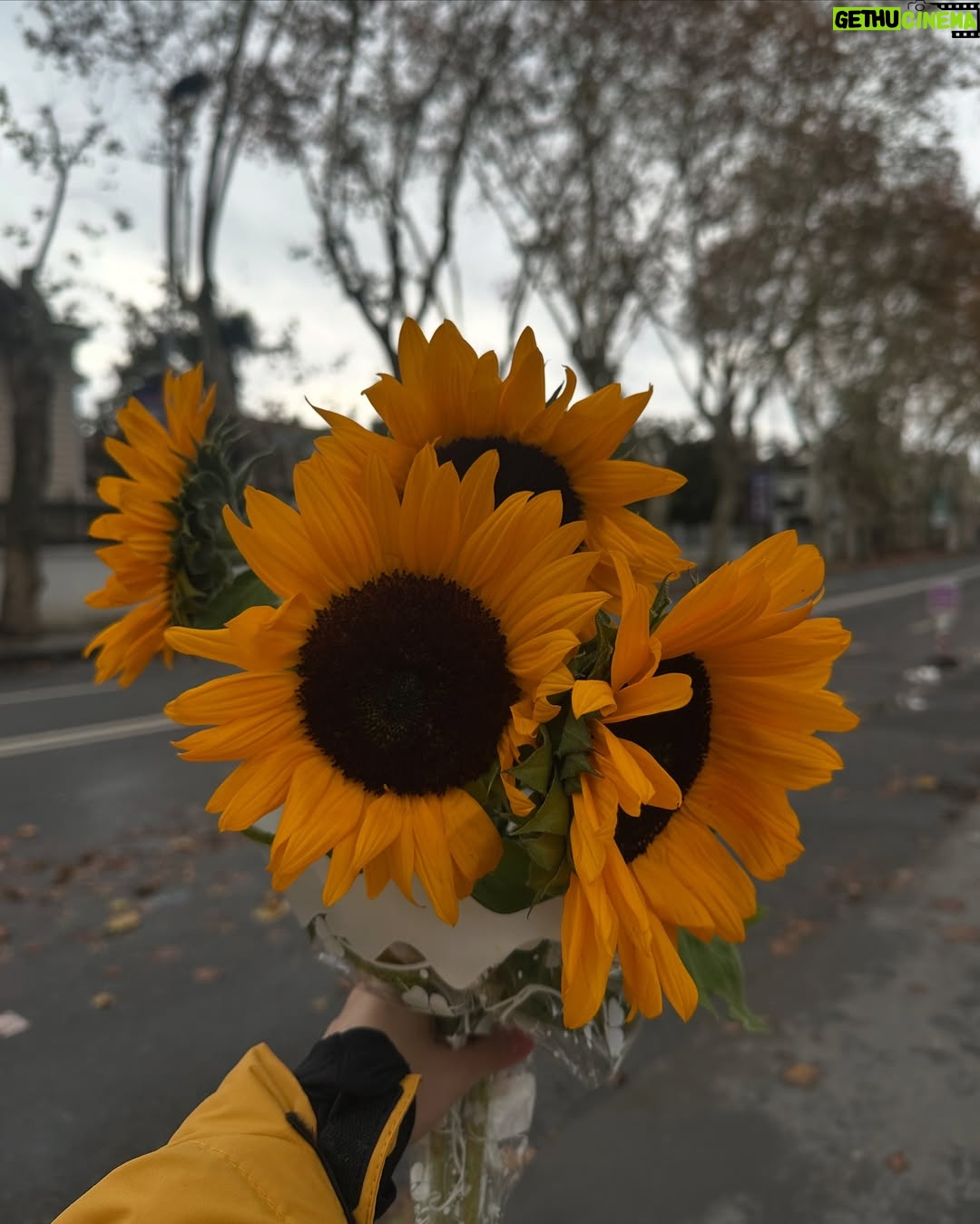 Zeynep Atılgan - 40.6K Likes - 🍁🌲🪵 🌻