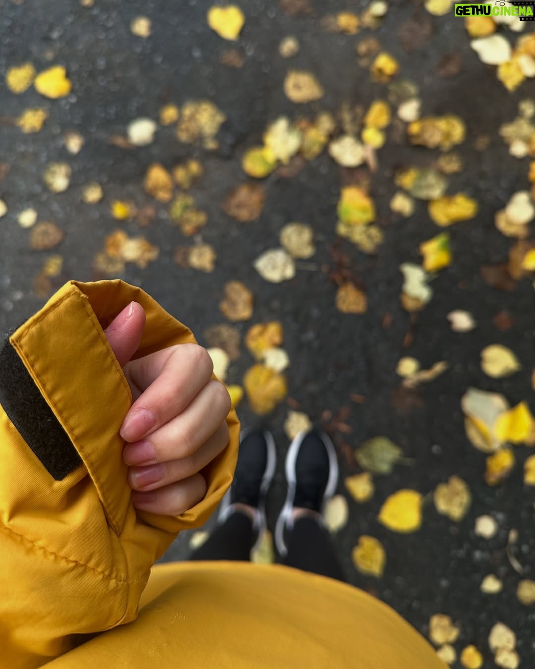 Zeynep Atılgan - 40.6K Likes - 🍁🌲🪵 🌻