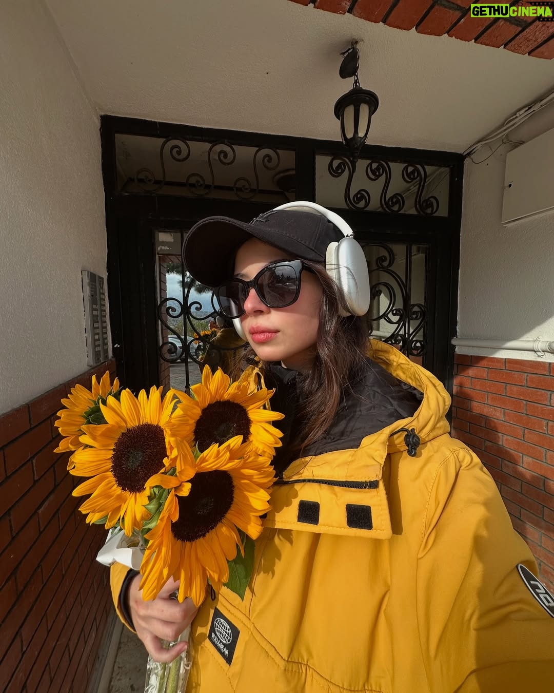 Zeynep Atılgan - 40.6K Likes - 🍁🌲🪵 🌻