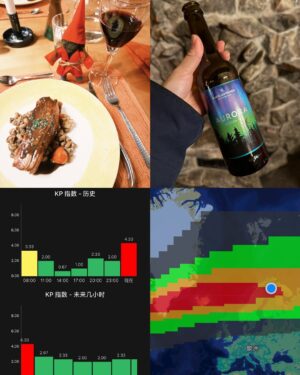林莎 Instagram - 包下了三個小時的北極光 🍀💚
整個夜晚沒有停止過的極光大爆發⋯
星空下滿滿的綠光閃耀著、舞動著，
放眼望去，熱鬧到不知道要看哪裡才好。

2月18日，這天是很神奇的一天。
晚餐後，我們買了四瓶印有美麗極光的啤酒，自信滿滿的為了迎接大極光，準備慶祝一番！
在房間裡洗了超讚的芬蘭浴～～愛上♡ 
吃宵夜、聊天，以及大概五分鐘打開一次APP時刻關注極光動態。
9點半，APP地圖上小小的一圈極光，是這幾天觀察到最小的，而這天，全世界地圖上就這一小圈。
每每打開偵測都很怕不見或離我們遠去或是雲飄過來（種種因素會讓肉眼看不見極光）
神奇又令人振奮的是小綠圈越靠越近，越來越大片⋯而我們也越來越激動。
11點10分，大家！極光籠罩我們了，快乾杯！出發！！

微微的綠色作為鋪陳，不拖戲的螢光綠色亮眼登場⋯還有重頭戲的紅色極光特別演出。
像是買票進場一樣欣賞了三個多小時，絕無冷場。
大滿足的我們要回玻璃屋，極光還沒有要謝幕的意思，一路陪我們到房間，繼續躺在床上看。

再次拿起極光啤酒準備乾杯，疑！上面的圖片就跟我們看見的一樣夢幻啊。

2025/02/18 🇫🇮 芬蘭
感動的我是個幸運又幸福的人，真的真的 🍀💚