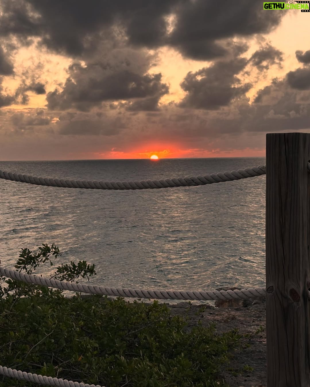 Abby Huntsman - 2K Likes - 🏖️ 🌅 🌴 oh how we will miss you