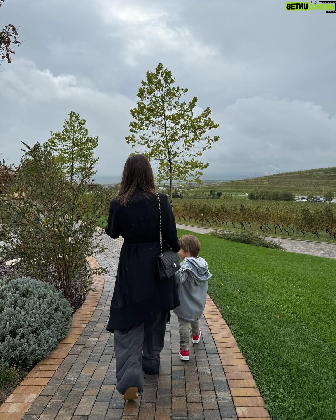 Adela Popescu - 36.7K Likes - 70 ea, 38 eu.
70 de ani de cand s-a nascut si 38 de cand a decis sa imi arate ca viata e un loc sigur, frumos, magic, in care familia e cea mai importanta.
Credinte ce au ajuns sa ma defineasca.
La multi ani, eroina noastra! ❤️
@doinapopescu
