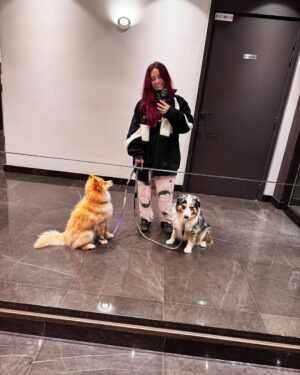 Adeline Chetail Instagram - Le mois de Mars n’est pas de tout repos ! 

- Japan Expo Sud   passage éclair à Montpellier 🩵
- Nouvelle collection Hayami bientôt en ligne 🌸
- Notre nouvelle vie avec un chiot/renard 🦊
- Sabrina Carpenter grâce à @meta merci encore ! ☕️ 
- Studio studio studio ! Plein de nouveaux projets voix 🎙️ 
- Des changements à La Bulle (le studio de Sora) 🫧 
- Départ pour 2 semaines à Tokyo ! ✈️