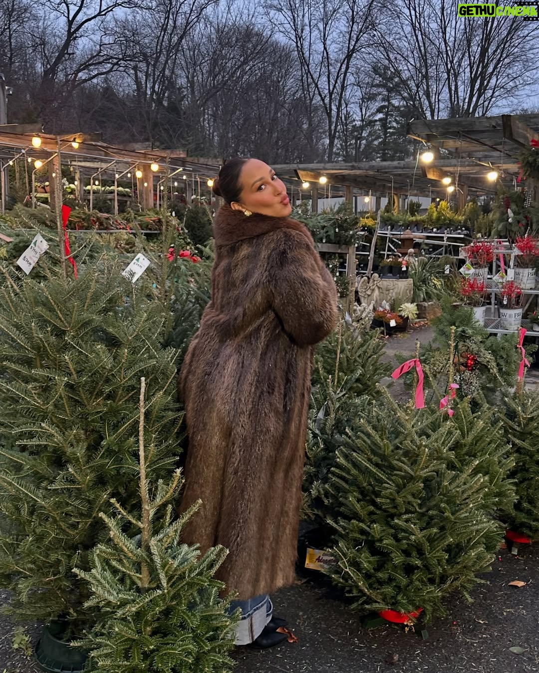 Adrienne Bailon-Houghton - 70.9K Likes - You know I love lists… 
1. a few of my favorite things… 🎶♥️🎄
2. my album “New Tradiciones” is back! new cover artwork and a little @everjames interlude lol. 
3. red roses for the holidays… who am I?! loving them. thank you @israelhoughton 🥀 
4. tablescaping for the holidays… excited to host our family “noche buena” again this year! 
5. we are officially into the grinch! @everjames is obsessed & Jim Carey deserved an Oscar!
6. grinch pancakes: gluten free pancake mix, spinach, vanilla, cinnamon, eggs & milk. blend!
7. they are shockingly delicious! and they have a lot of spinach in them… but, you don’t taste it! 🌲
8. i love my family @luciaparker @jakesalomon @pinkparkers the most thoughtful! @petiteplume
9. ummm the ultimate holiday bop! and of course @lana_hawatmeh’s fav song to sing really loud! lol.
10. the things i find and love @homegoods - this was definitely @everjames approved! And cocoa scented.
11. So we had to try it as a family lol. looked gross but it was so much fun! i am such a boy mom.
12. we jumped in the shower afterwards… but, @everjames did not want me to drain the tub! 
13. this is me negotiating with a 2 year old… and yes his onsie is also… the grinch. we all have them!
14. and hopped back in bed to watch… you already know… it was honestly my dream lazy morning lol.
15. more @skims holiday treats! obsessed.
16. i absolutely love the smell of pine… love buying fresh wreaths, garland & mini trees for the house! 
17. holiday dinner dates w/ @israelhoughton - that feel like I’m in a @hallmarkchannel movie 🎥 
18. wood burning fireplaces, while listening to holiday tunes on a double date with my parents! 
19. we arrived first… so of course i had to take a pic.
20. the woman that always made the holidays so special for us… the reason I had the best childhood, traditions & memories. i love you @nyricanmama ♥️