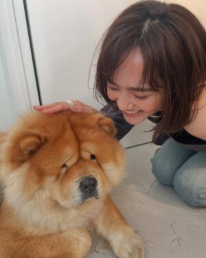 Airi Matsui Instagram - スタジオにいた🐶ちゃん。
ぬいぐるみみたいでもふもふ〜✨

お顔がたまらなくかわいくてツボでした🤎