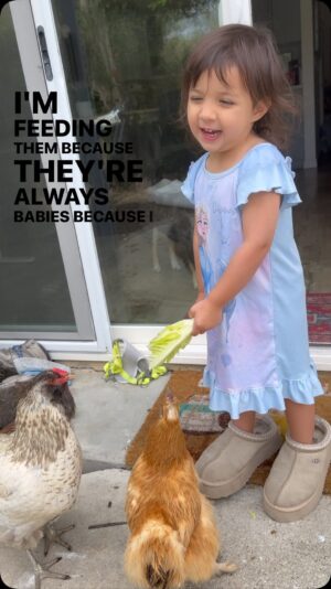 Alisan Porter Instagram - When people ask me why I fought the city to keep my chickens……. #wholesome #chickenmom