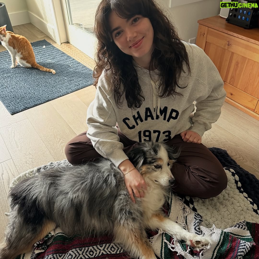 Alisha Newton - 85.9K Likes - rest in peace Zoey 🤍
I always wished for her to live forever when I blew out the candles. She raised me. Little. Zo. My best friend. Softest and happiest girl.