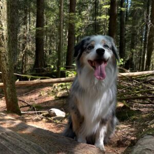 Alisha Newton Instagram - rest in peace Zoey 🤍
I always wished for her to live forever when I blew out the candles. She raised me. Little. Zo. My best friend. Softest and happiest girl.