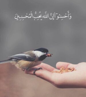 Amal Hijazi Instagram - صباح الخير والعطاء والقلب السليم..