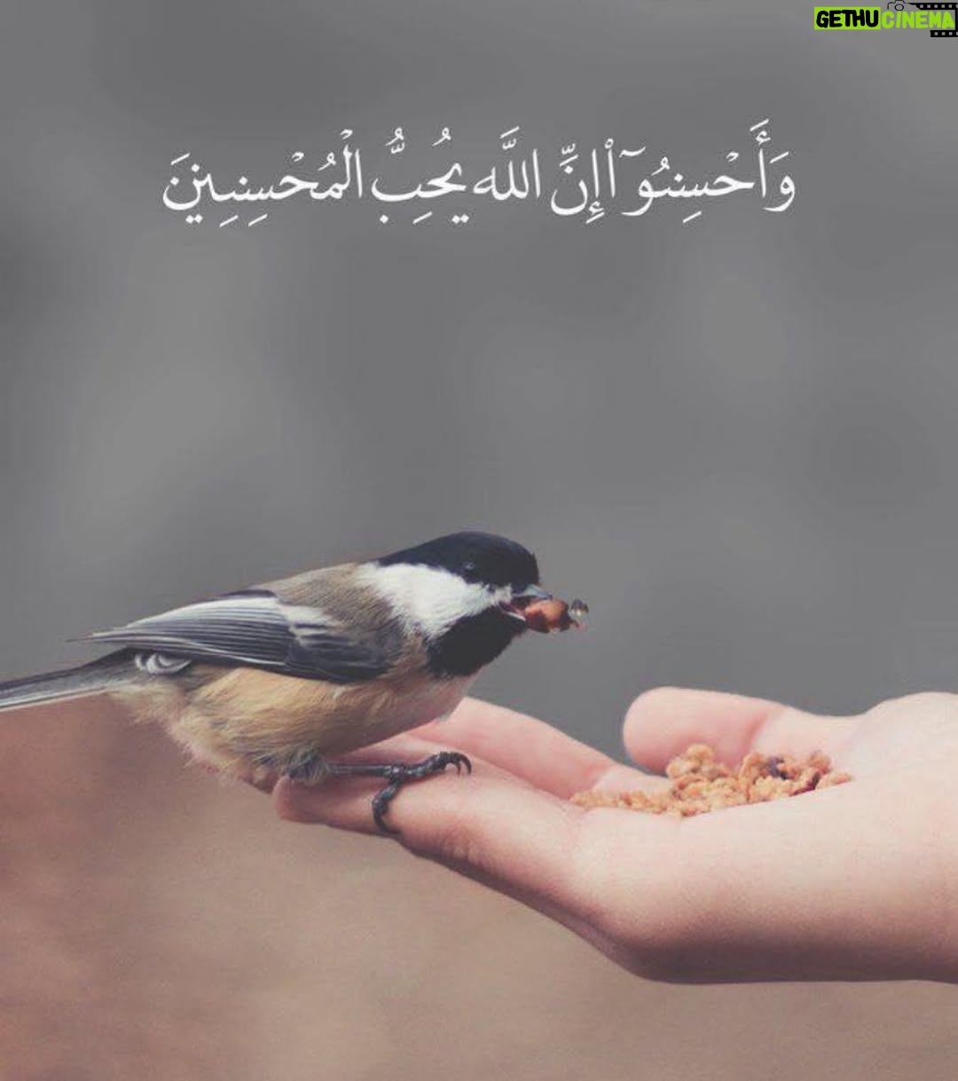 Amal Hijazi - 7.7K Likes - صباح الخير والعطاء والقلب السليم..