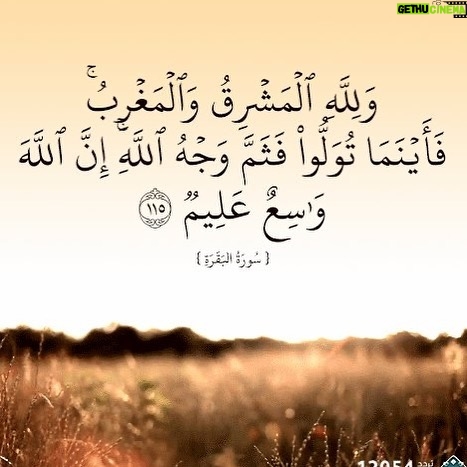 Amal Hijazi - 8.4K Likes - صباح الخير