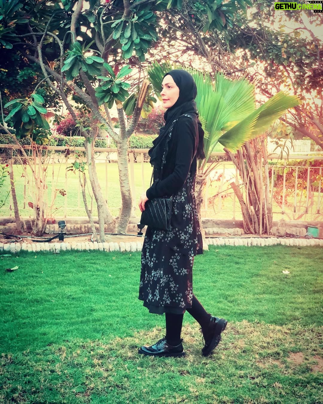 Amal Hijazi - 14.8K Likes - لا مكان لليأس في قلب المؤمن لأنه يعلم أنه لا ييأس من روح الله إلا القوم الكافرون ..#صباح_الخير