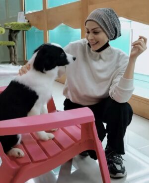 Amal Hijazi Instagram - The smartest dog breed in the world My dream dog.. #bordercollie