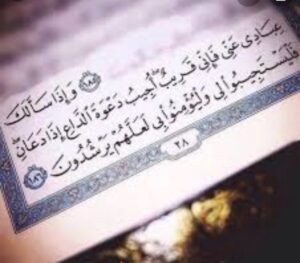 Amal Hijazi Instagram - 