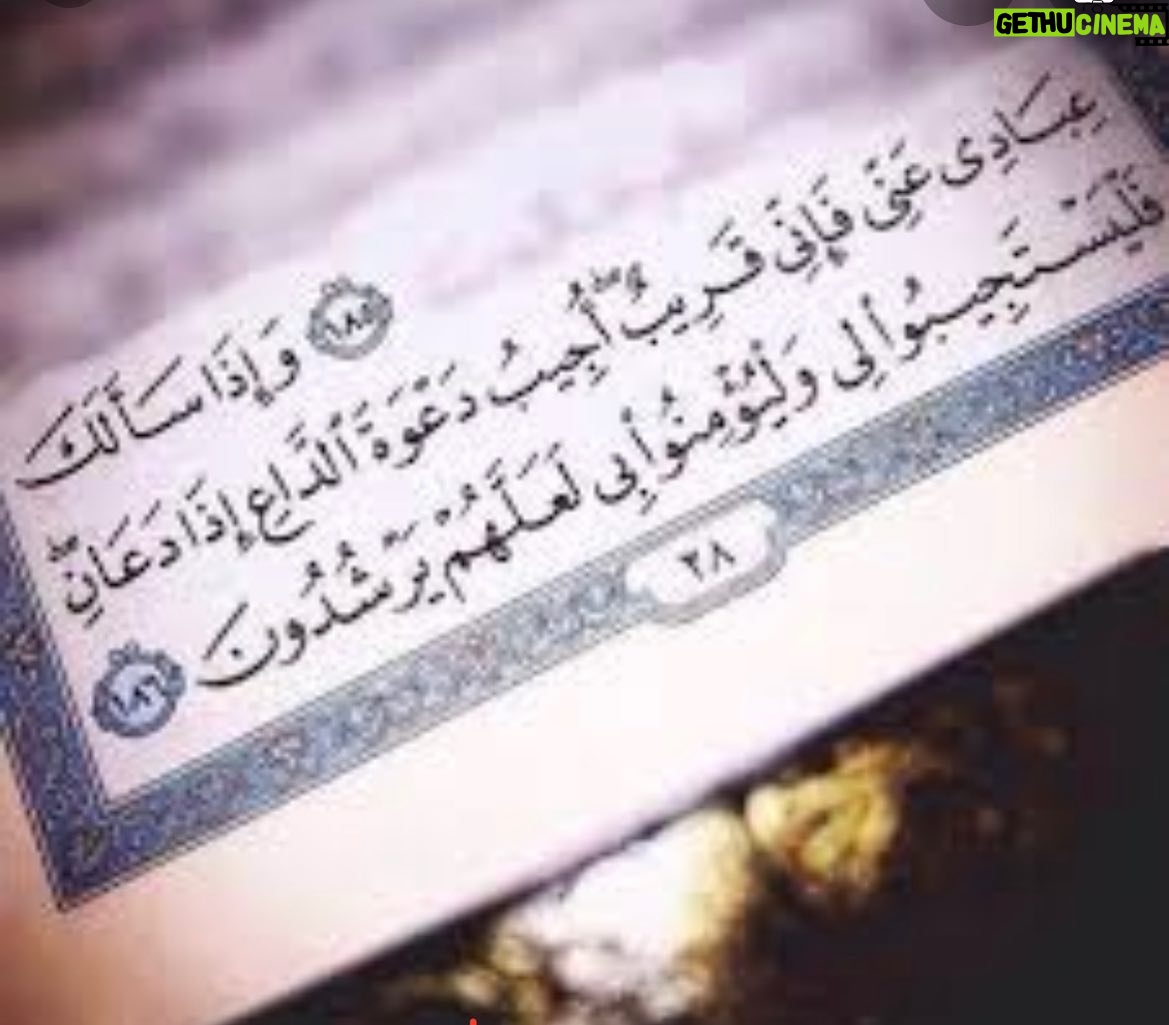 Amal Hijazi - 8.6K Likes -