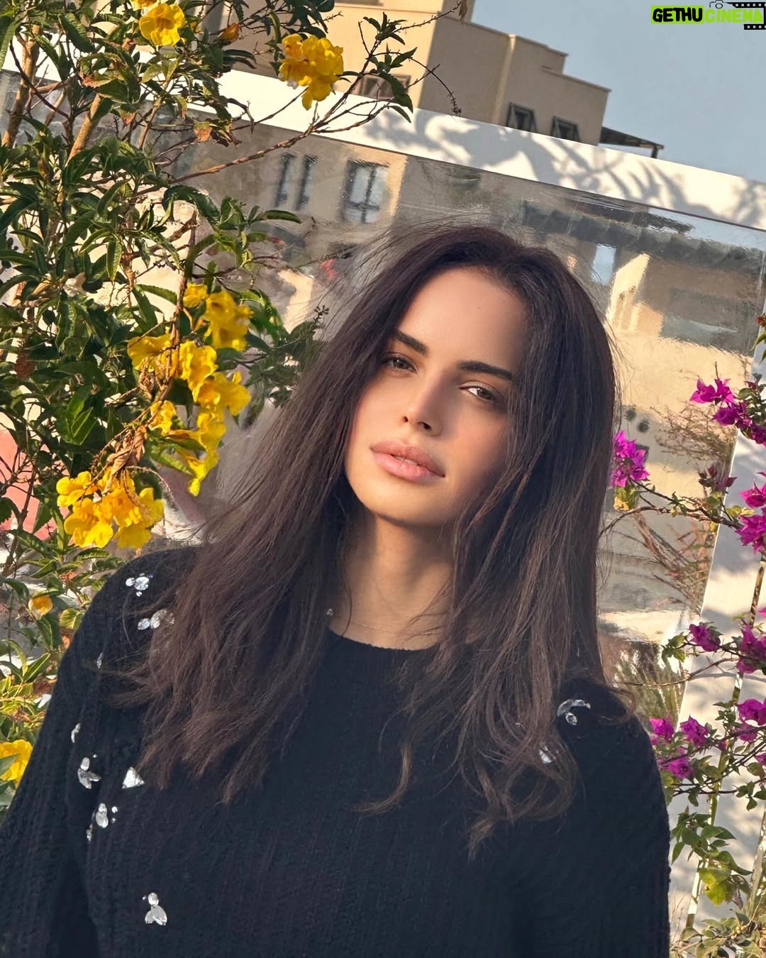 Amal Maher - 33.9K Likes - 🖤🖤