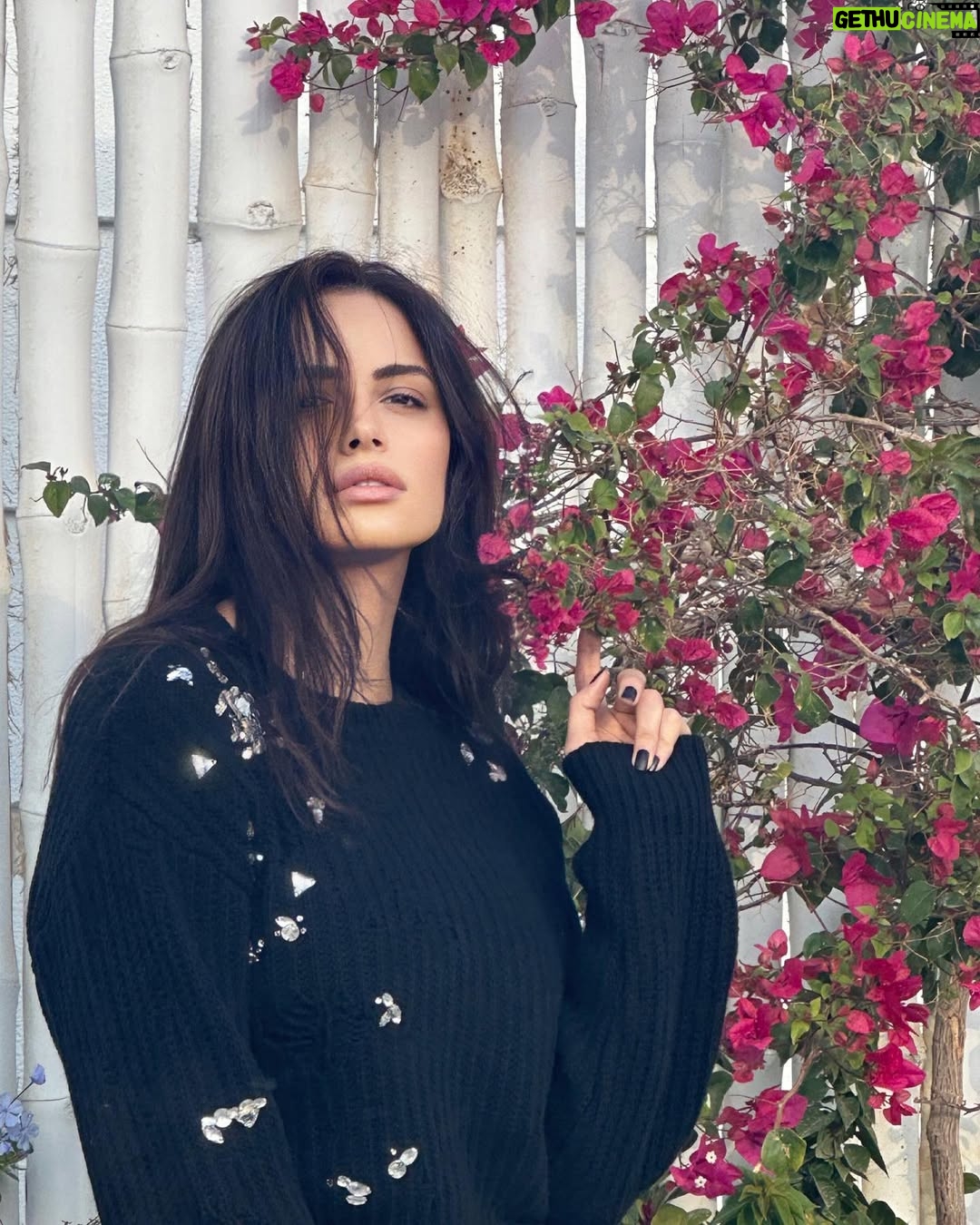 Amal Maher - 33.9K Likes - 🖤🖤