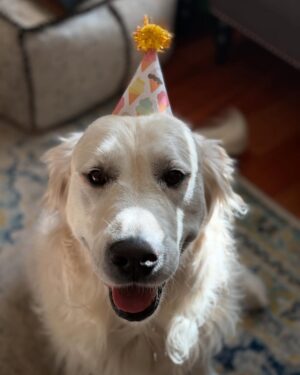 Amelia Heinle Instagram - Happy Birthday Popo, you are the love of our lives. Thank you for doing everything that you do to make us happy!