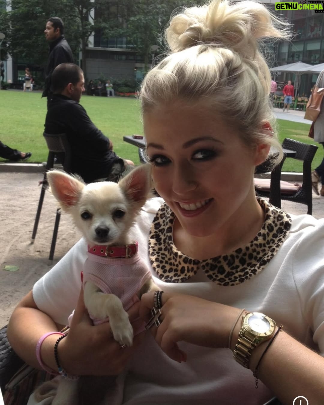 Amelia Lily - 2K Likes - My darling Elphie, you can rest in peace now 🤍 today we said goodbye but I will never ever forget you and the memories we shared together. I will think of you every day. The amount of joy and happiness you have brought me is unexplainable. You’ve been with me through literally everything. Three years you have fought heart failure being the tough cookie you are , being on numerous of tablets morning and night. This week has been exceptionally tough watching you deteriorate so rapidly and you had totally given up. You can be with Belle and Ruby now. My first little baby and companion. I will love you always and forever my little Elphie 🤍🤍🤍