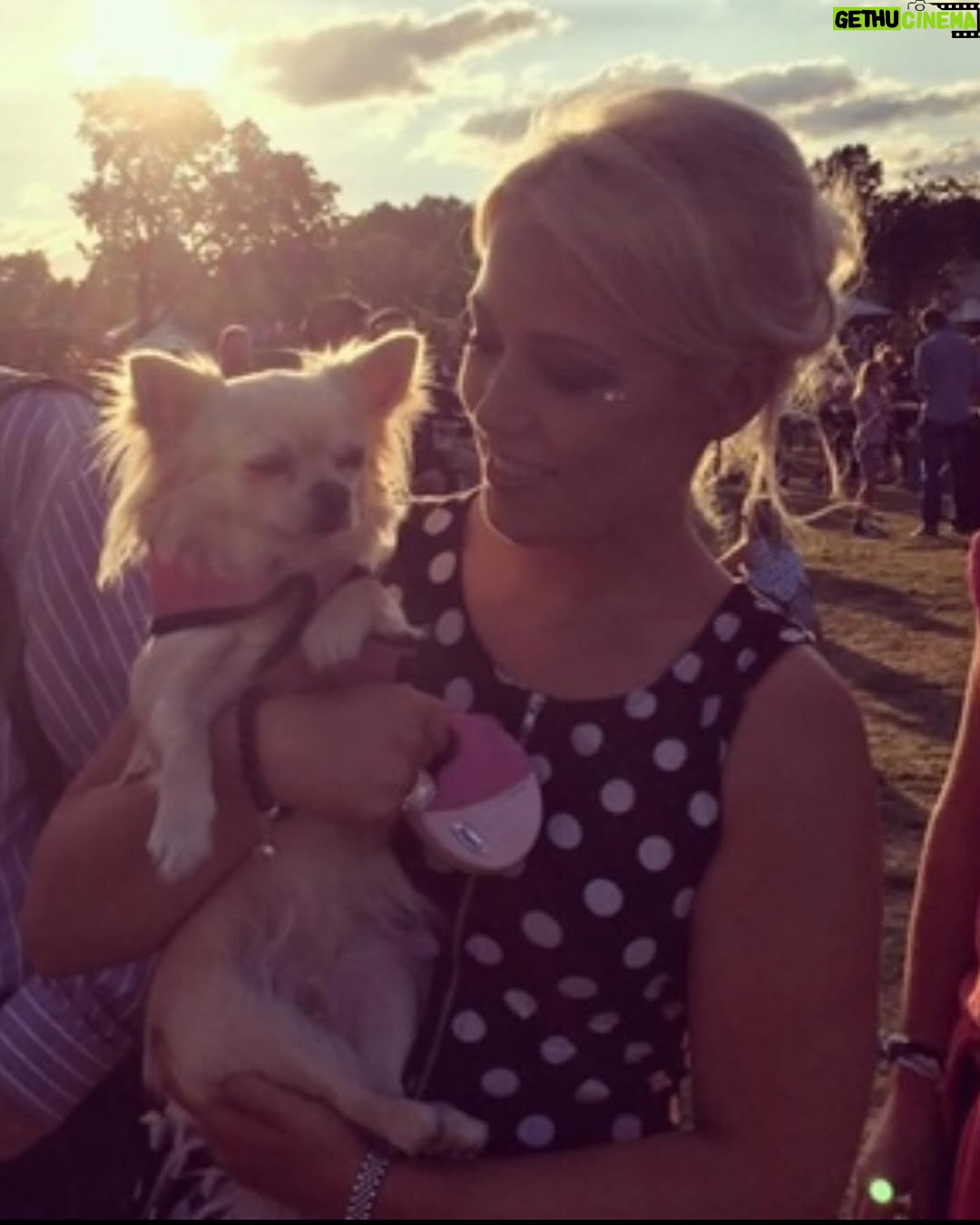 Amelia Lily - 2K Likes - My darling Elphie, you can rest in peace now 🤍 today we said goodbye but I will never ever forget you and the memories we shared together. I will think of you every day. The amount of joy and happiness you have brought me is unexplainable. You’ve been with me through literally everything. Three years you have fought heart failure being the tough cookie you are , being on numerous of tablets morning and night. This week has been exceptionally tough watching you deteriorate so rapidly and you had totally given up. You can be with Belle and Ruby now. My first little baby and companion. I will love you always and forever my little Elphie 🤍🤍🤍