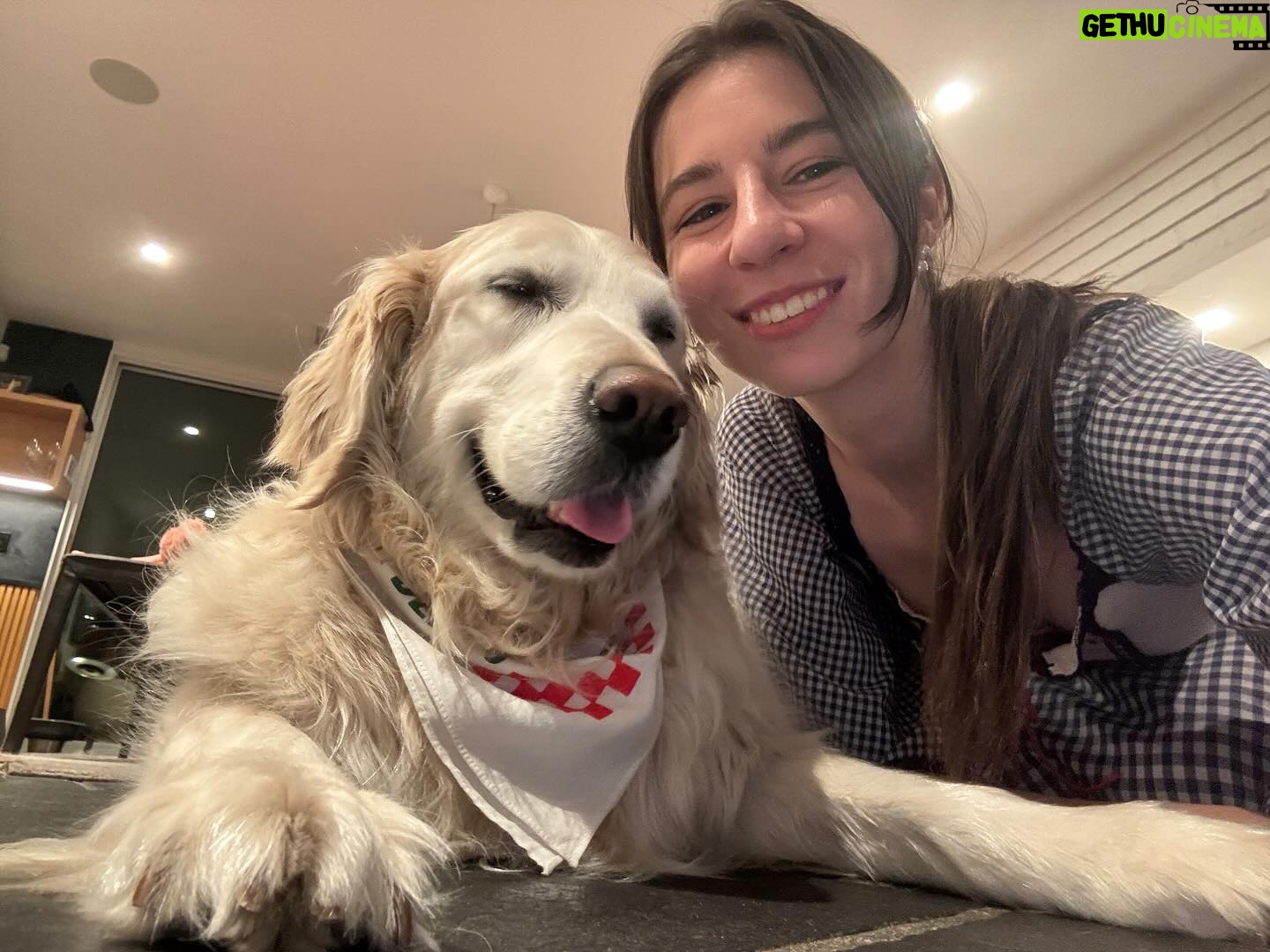 Amy Nelson - 112.2K Likes - 10 YEARS OF CHICA 🥂 here’s to the matriarch of this town of dog friends and the the earth angel born to be henry’s big sister
she is a glowing ball of pure pressurized love and we love love love her so
